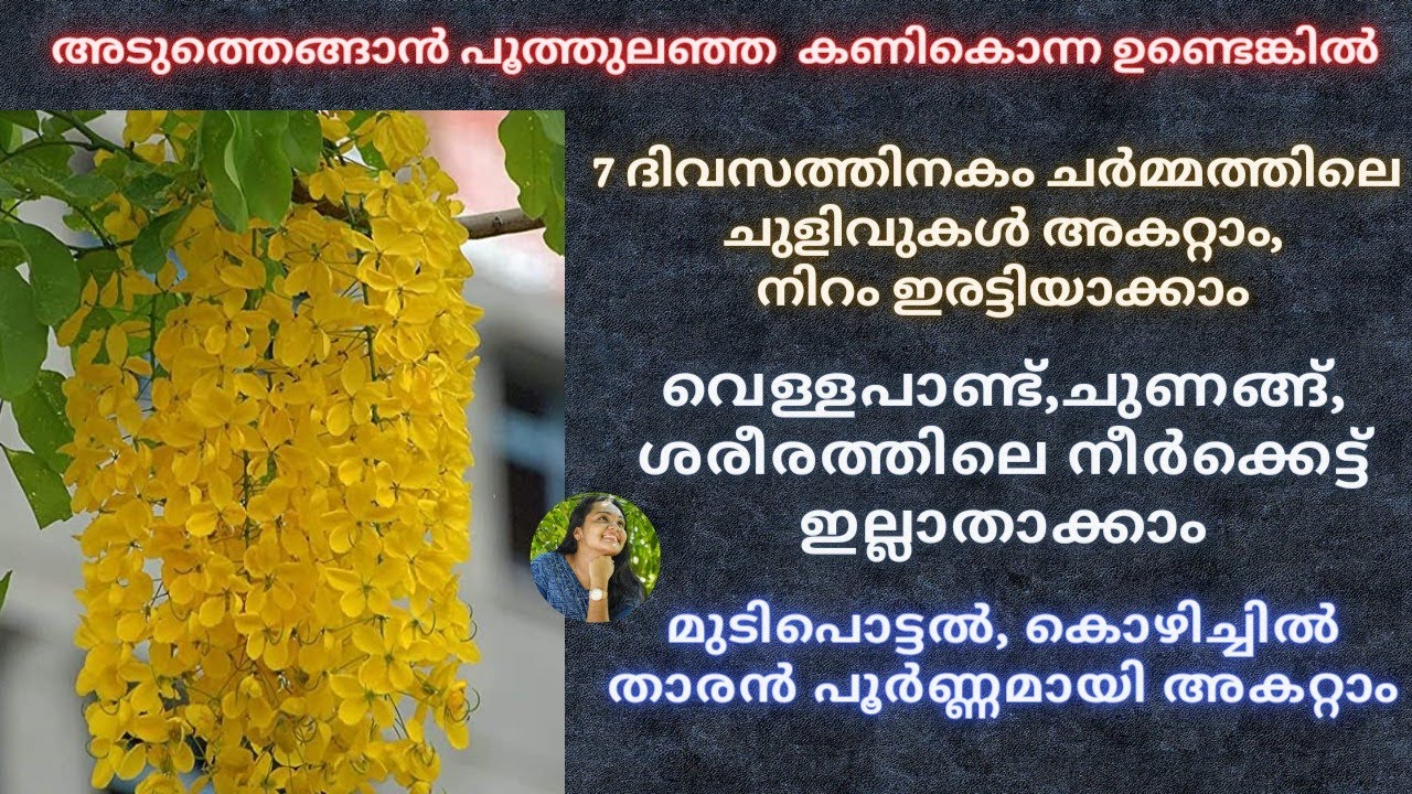 കണികാണാൻ മാത്രമല്ല കണിക്കൊന്ന,അറിഞ്ഞിരിക്കേണ്ട ഗുണങ്ങളേറെ|Kanikonna Benefits|Golden Shower Uses💯🌿