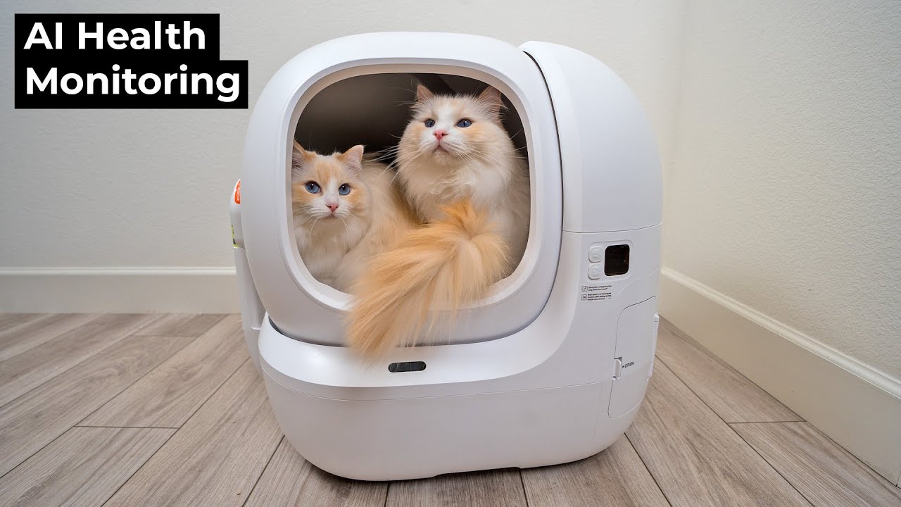 Обзор PETKIT Purobot Max Pro 2: Лучший ли это автоматический лоток для кошачьего туалета по соотн...