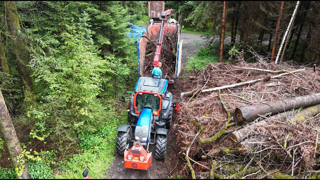 Holzhacken mit Valtra, Tatra, DAF, John Deere und Bruks 🇨🇭🪵🪓