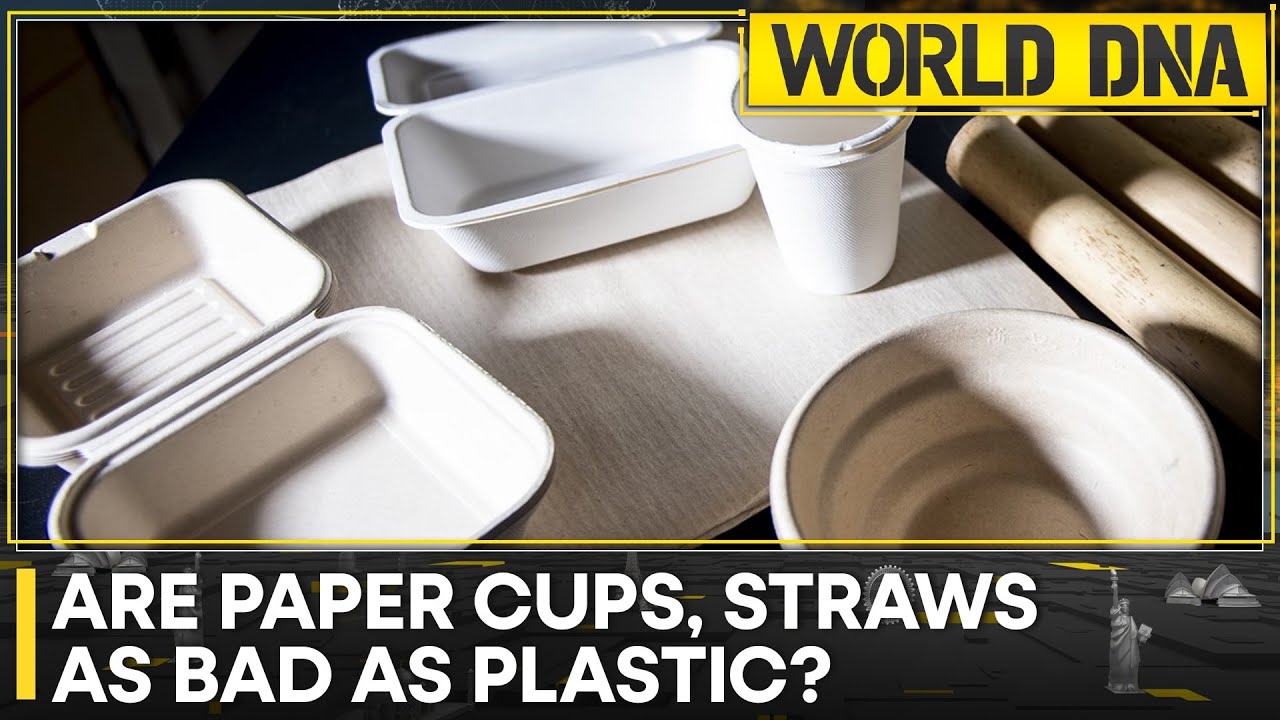 Study reveals that paper cups are as toxic as plastic ones | World DNA