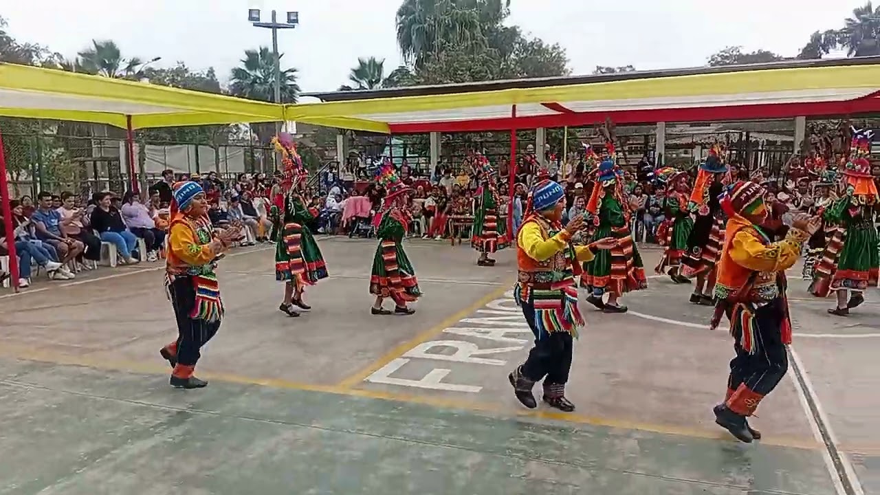Tinkus - 5to. de Primaria 