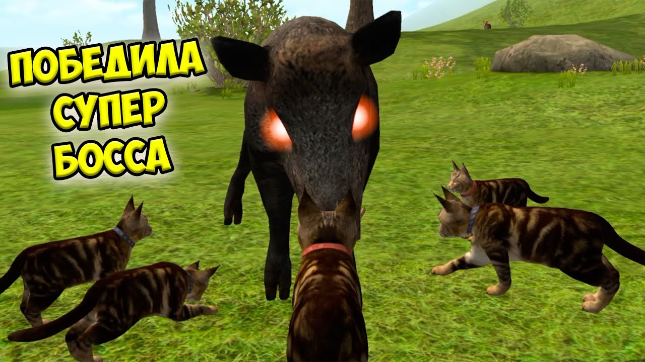 😻Симулятор КОТА и КОШКИ🐾 СУПЕР БОСС кабан СИМЕ cat sim