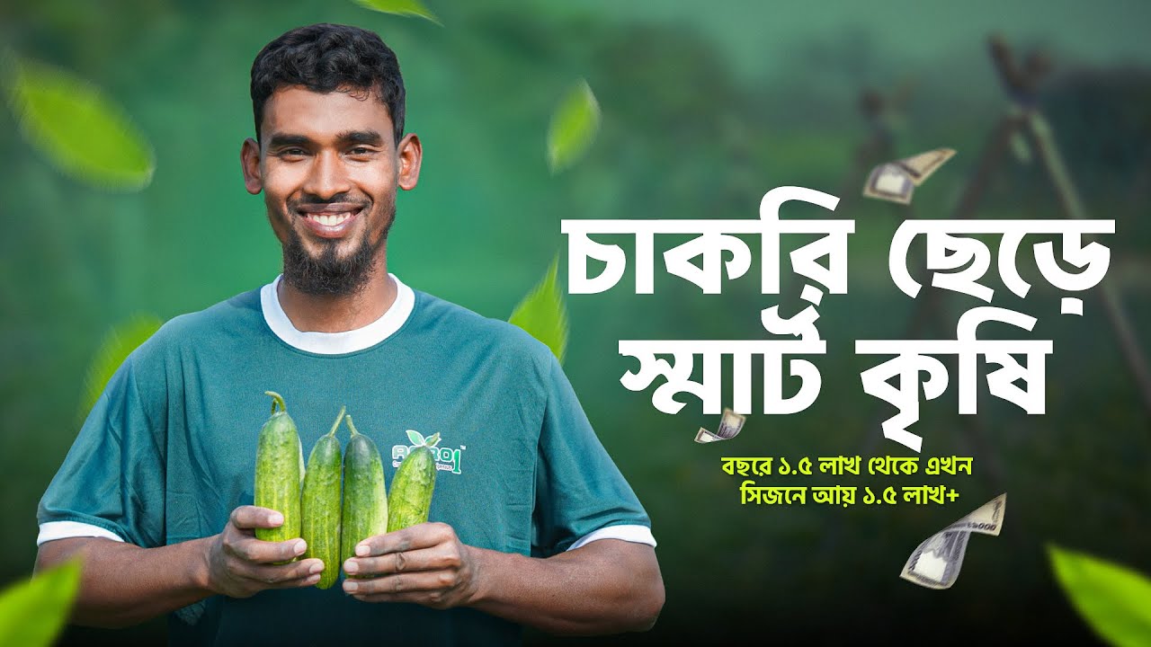 চাকরি ছেড়ে স্মার্ট কৃষি। বছরে ১.৫ লাখ থেকে এখন সিজনে আয় ১.৫ লাখ+