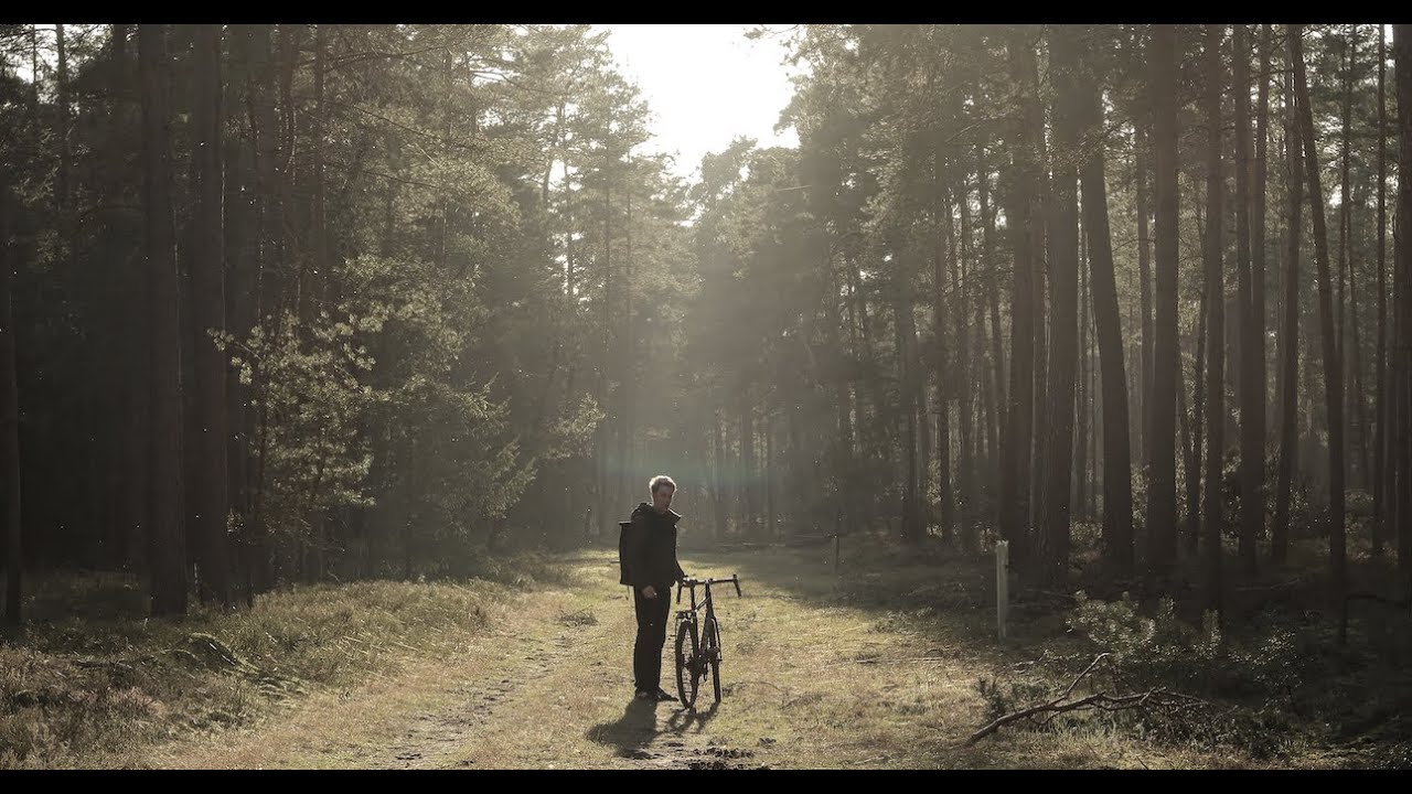 Erholsames Gartow - ein sonniger Ausflug in die W&auml;lder des Wendlands