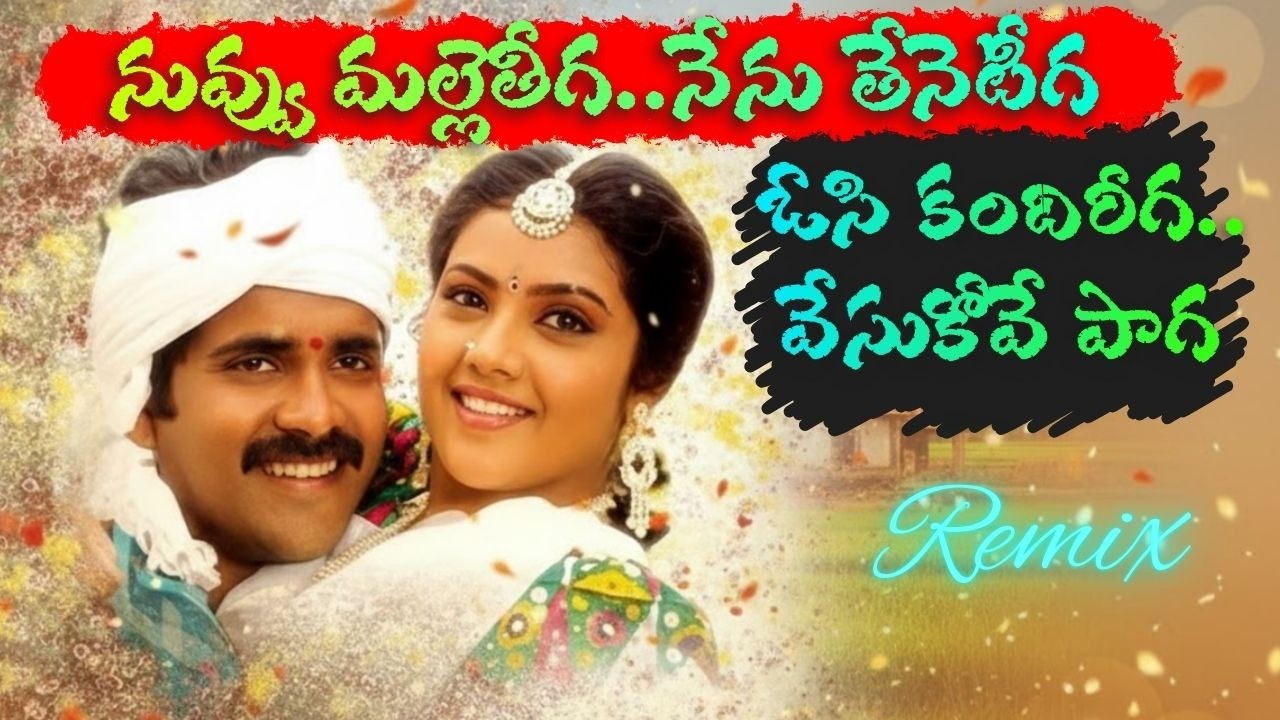 Nuvvu Malleteega Song EDM Remix 2026 |  Nagarjuna | Meena | Nagarjuna Evergreen Love Songs #songs