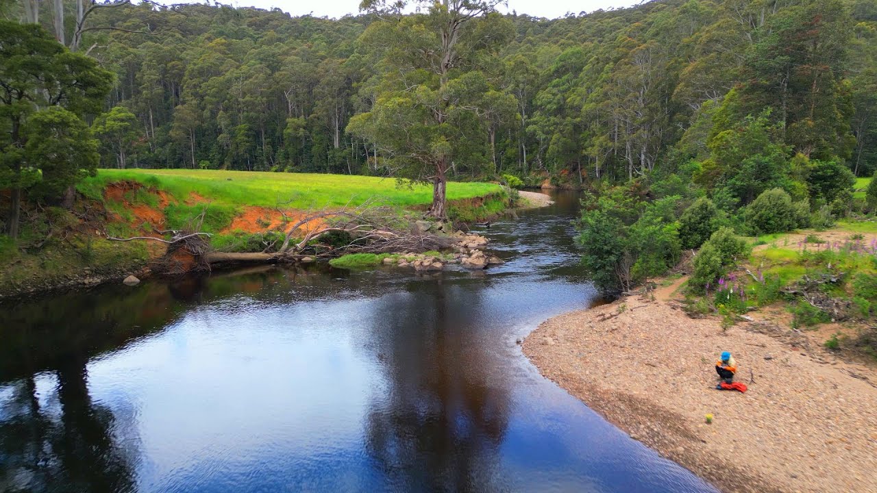 Trout fishing in Tasmania with BFS.[オーストラリアのタスマニアでBFSでトラウトを狙う]