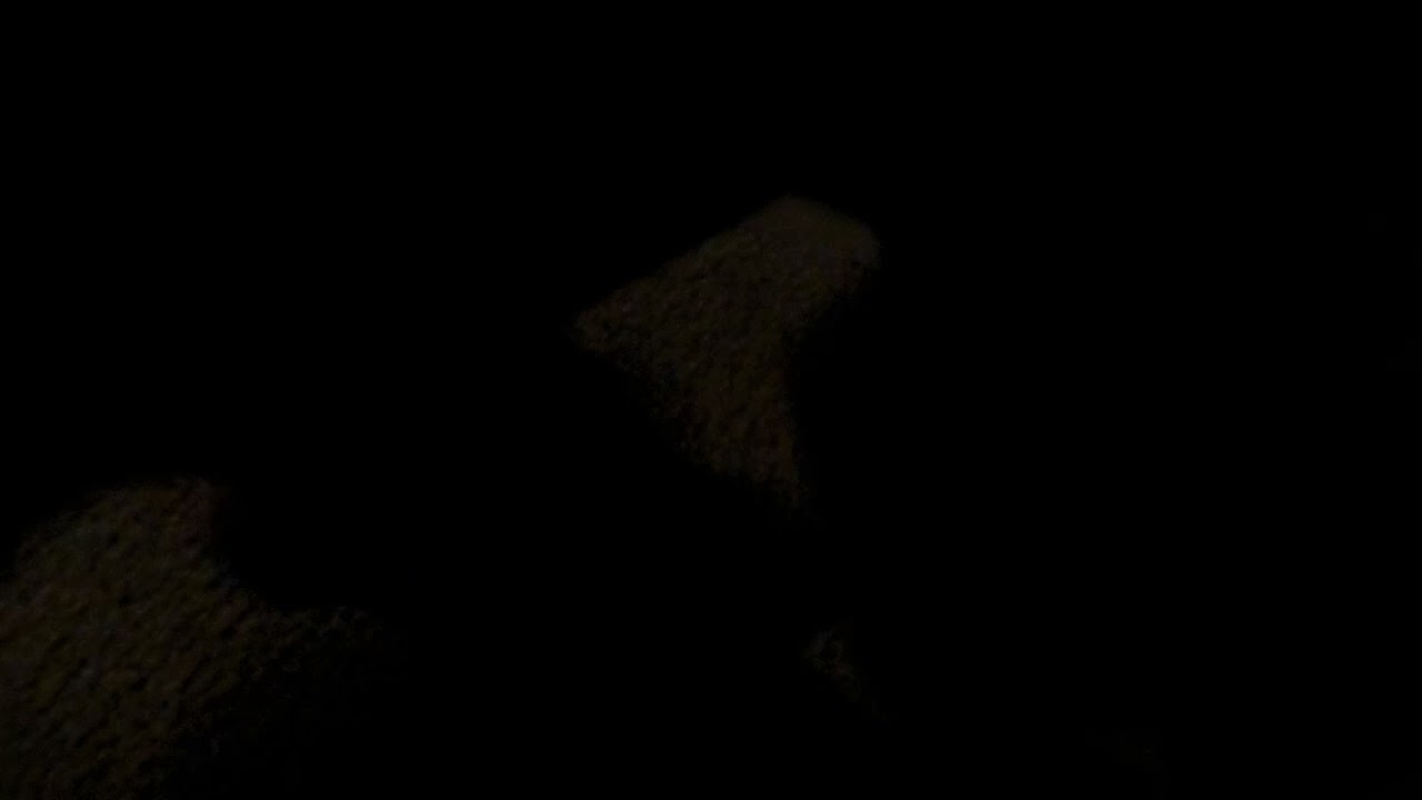 TRASH BAG ASMR! crinkle! relax. LOW LIGHT