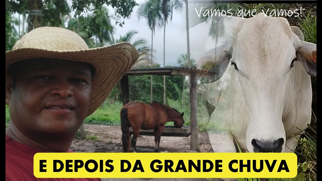 DEPOIS DA CHUVA, REPRESAS, PRETINHA E ANIMAIS