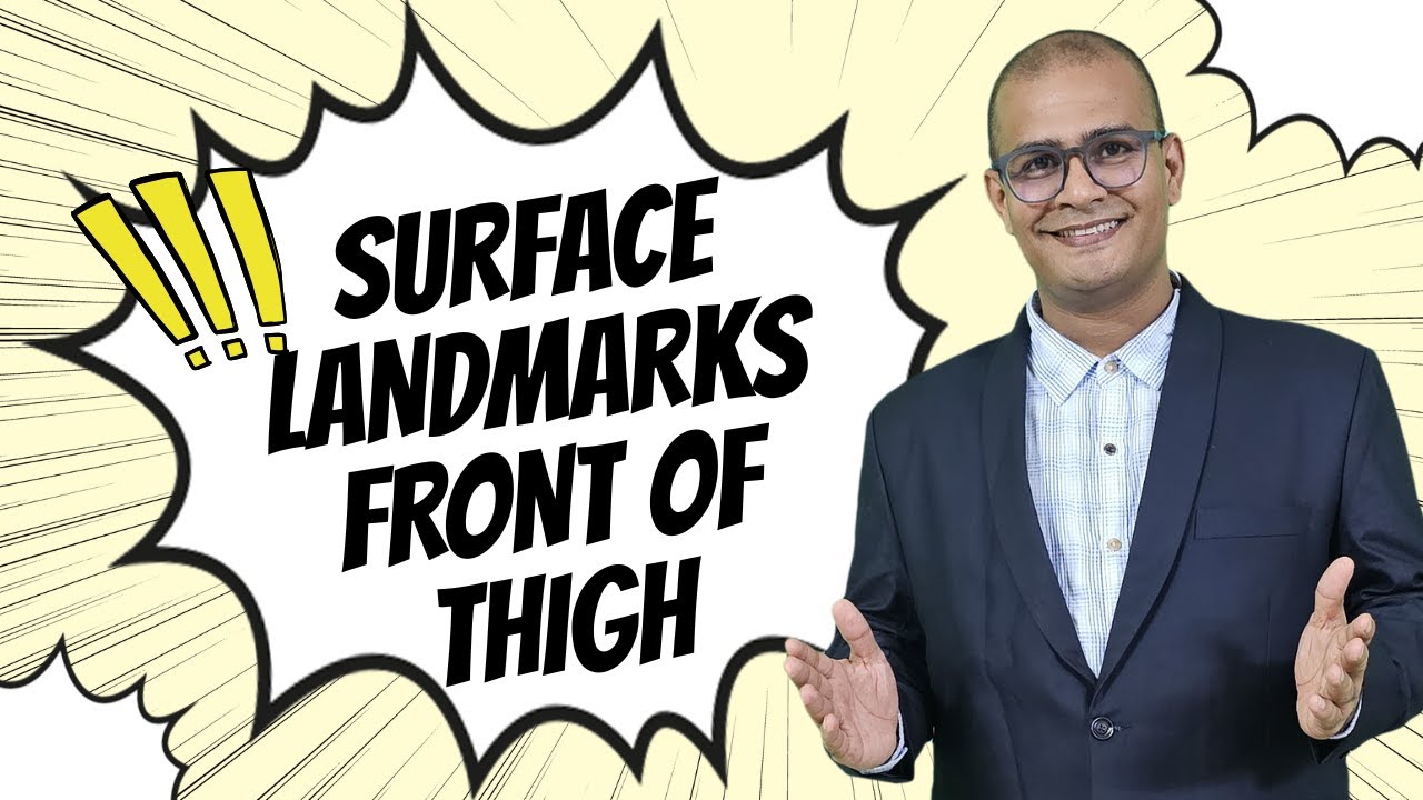 Surface Landmarks of Front of Thigh | Complete Anatomy (Elsevier) | Clinical & Exam-Oriented