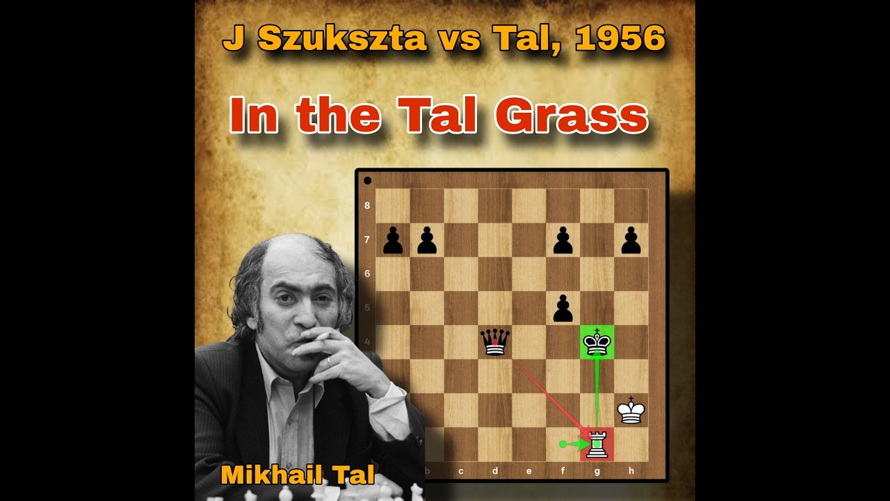 J Szukszta vs Tal, 1956 | rook sacrifice | #chess #lifestyle