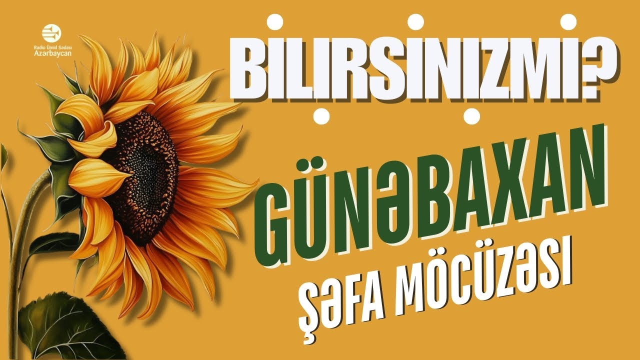 🌻Hər evdə olmalıdır! – Günəbaxan tumunun bilinməyən faydaları. #allah #motivation #health #sun
