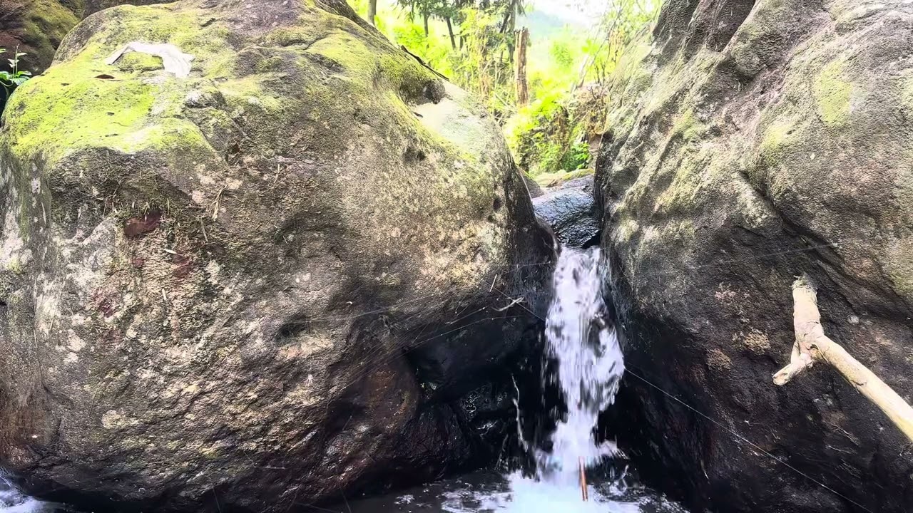 &ldquo;Soothing River Flow in a Jungle Paradise&rdquo; #TropicalRiver