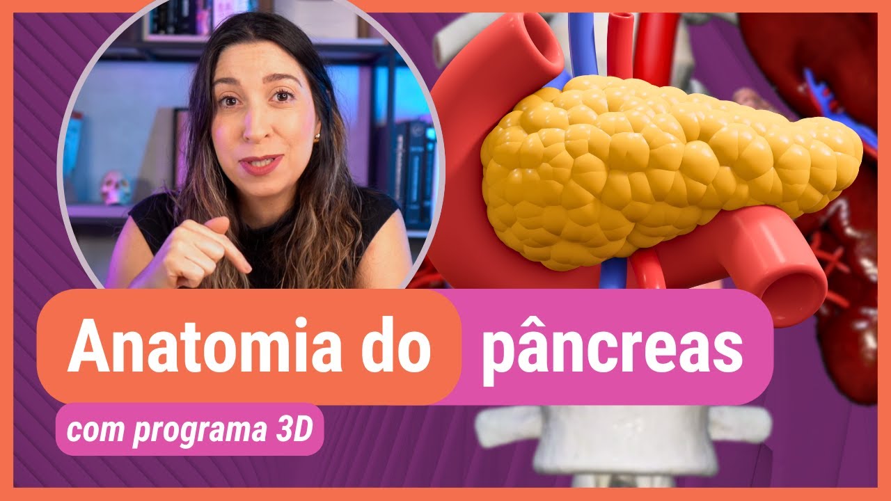 ANATOMIA DO PÂNCREAS! Com programa 3D