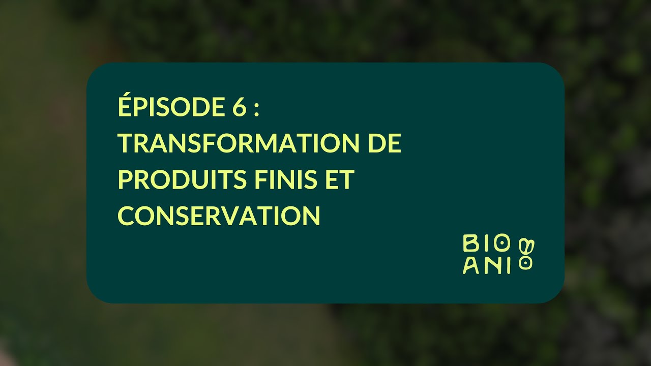 GUIDE MSN (BSF) | Épisode 6 | PRODUITS FINIS ET CONSERVATION