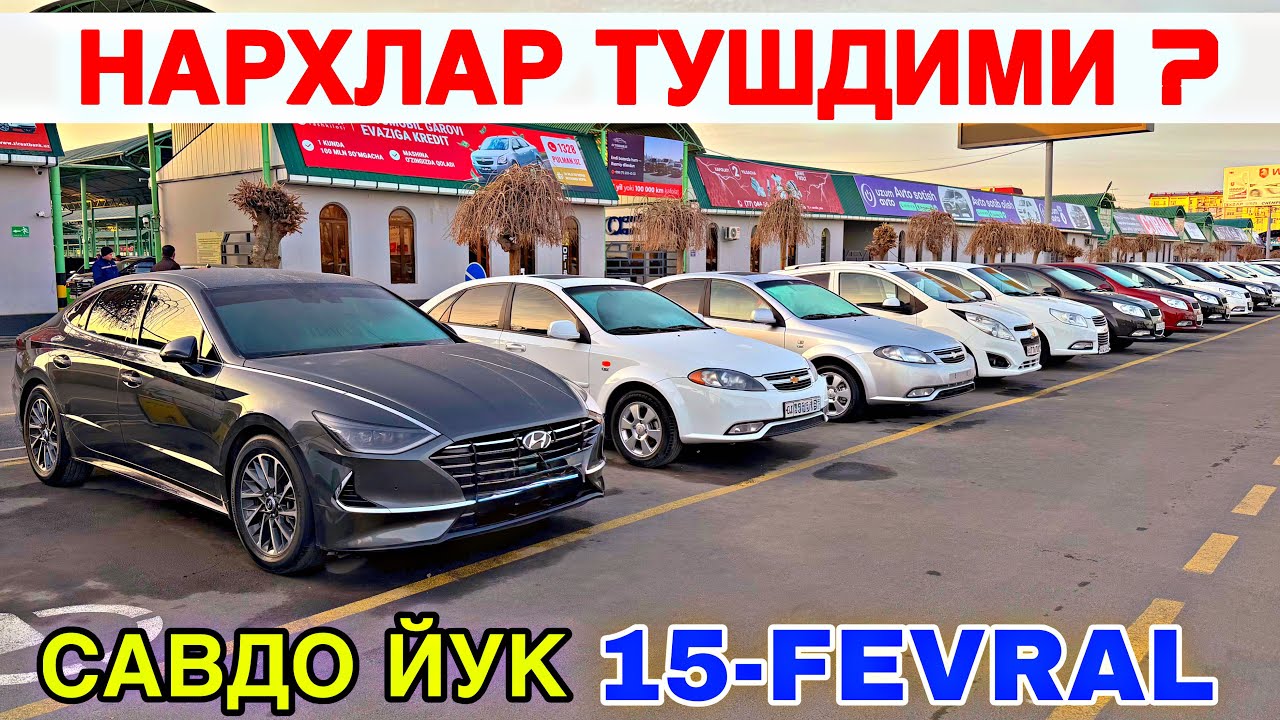 15-ФЕВРАЛ ЖЕНТРА ВА КОБАЛТ НАРХЛАРИ ТОШКЕНТ МОШИНА БОЗОР 2026 15-FEVRAL 2026 TOSHKENTMOSHINA