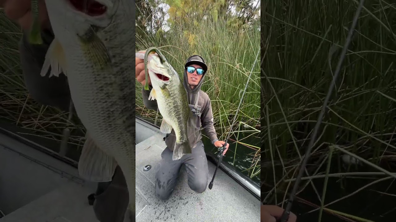 Yamamoto baits 7.5" cut tail worm was an absolute day saver 