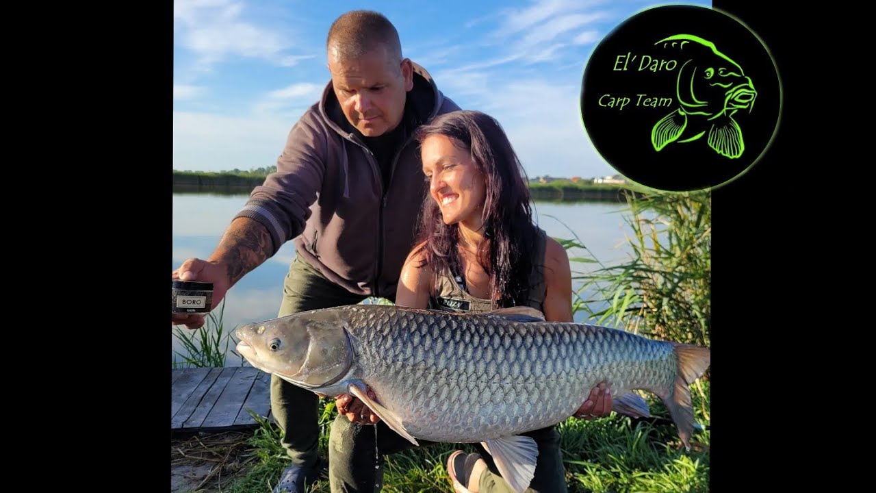 BORO BAITS test kulek hakowych, karp 20+ i niespodziewane branie amura