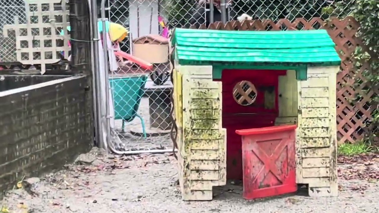 Kabu, Daisy, Kiwi, Ben, Chloe, Ollie, Davey, Ginger, Vader in woofer park! (Wed.) PART 1/2