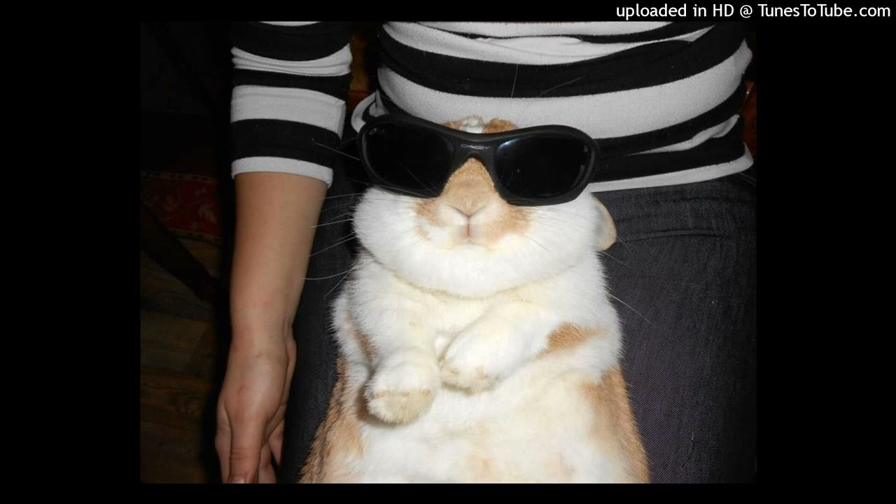 [FREE] digicore x traumacore x archivecore type beat 