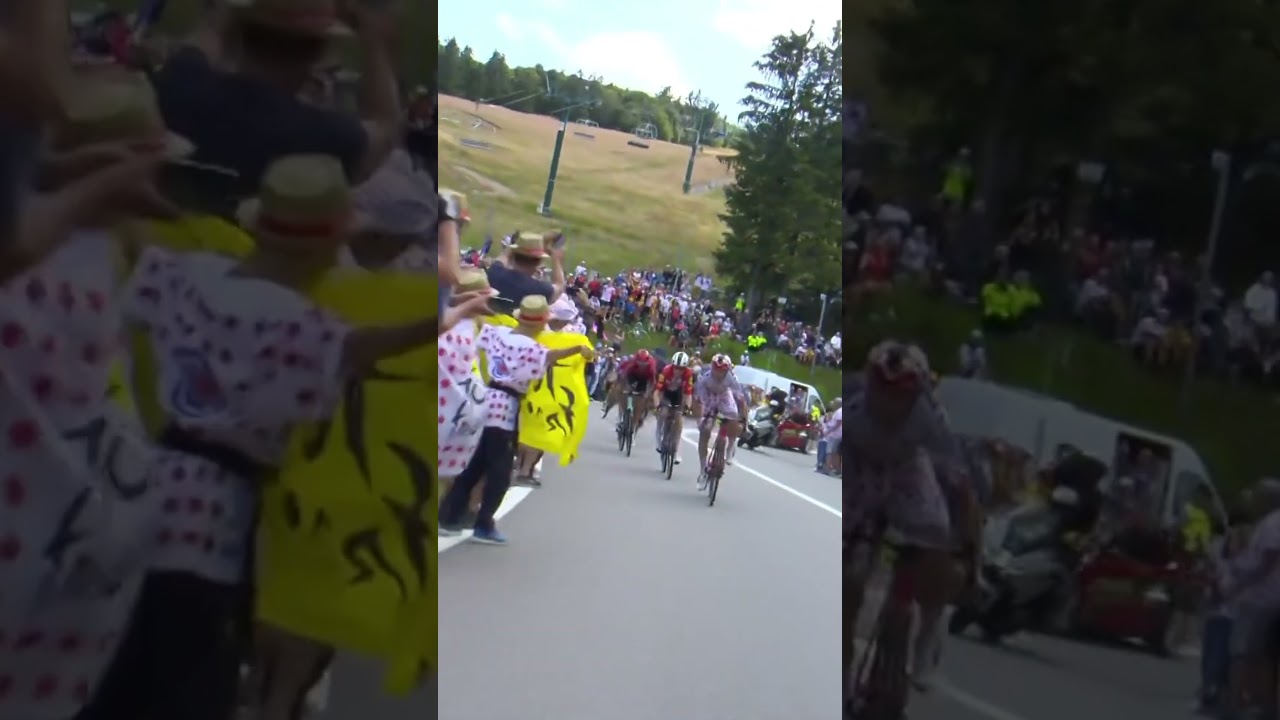The moment Ciccone secured the Polka Dot Jersey 😍 #Tourdefrance #tdf2023 #shorts