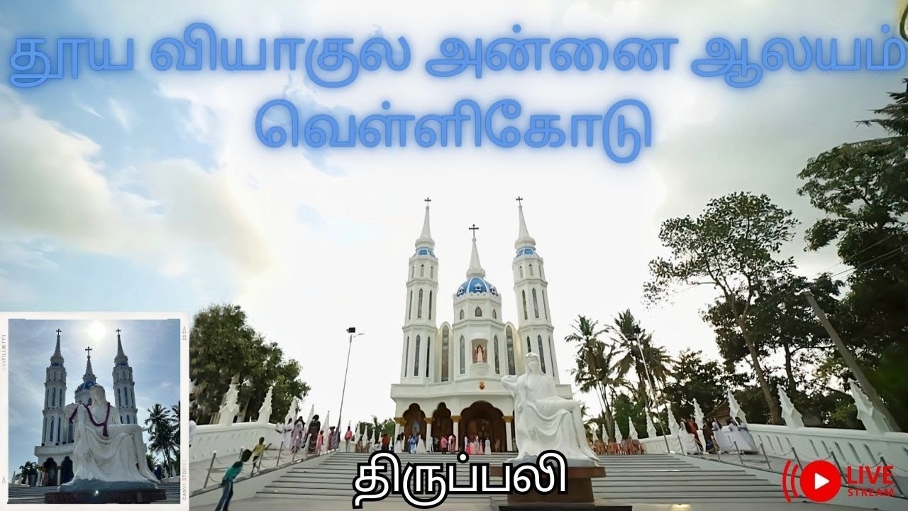 Our Lady of Sorrows Church, Vellicode (அசன விழா) |07-12-2025|