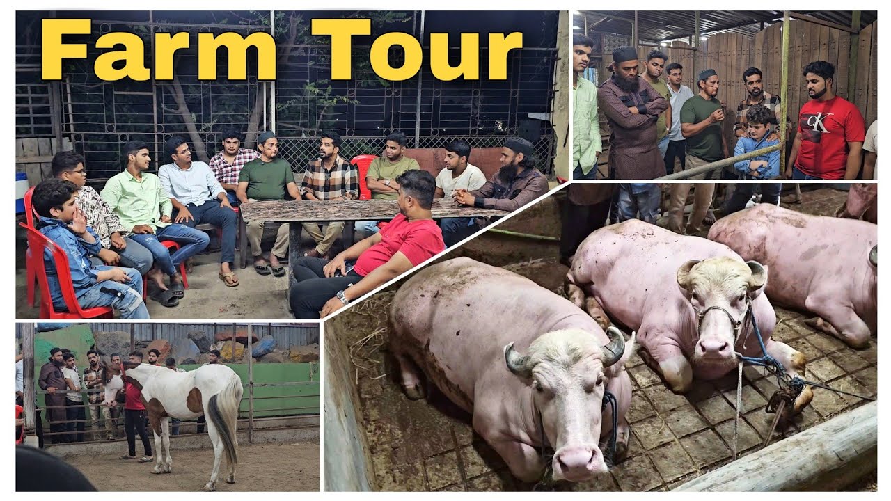 Farm Tour with Kalyan Menda Team by Asif STD STAR GOATS FARM Mumbra Mumbai Maharashtra 