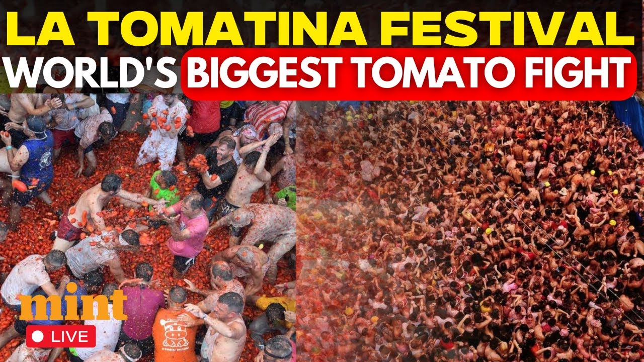La Tomatina 2025 LIVE: World’s Biggest Tomato Fight in Bunol | Spain Tomato Festival | Latomatina