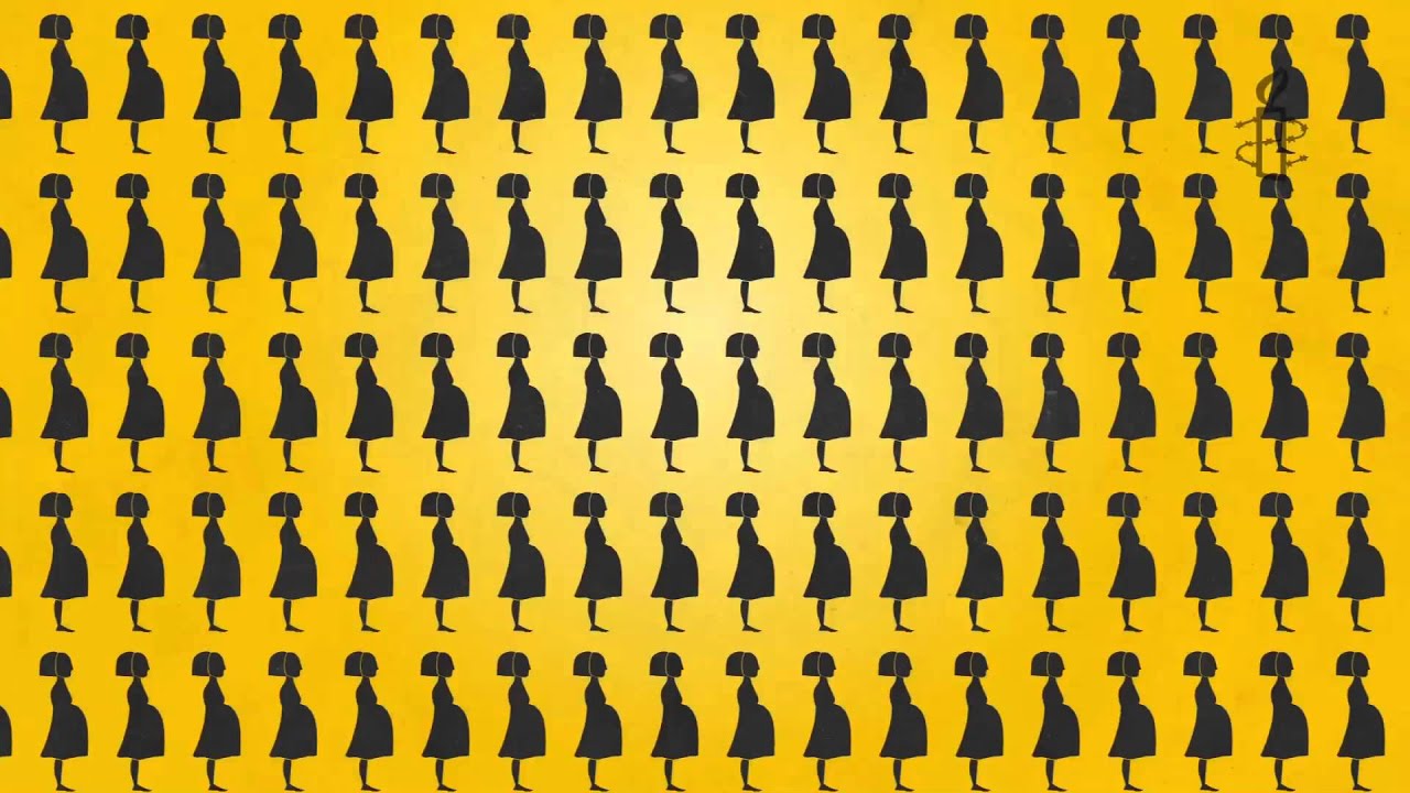 Sexual and Reproductive Rights Animation