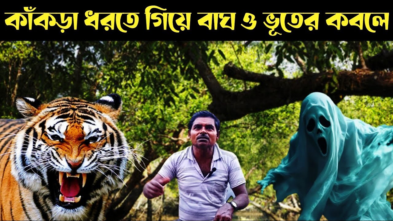 সুন্দরবনের জঙ্গলে বাঘ ও ভূতের উপদ্রব || Tiger And Ghost In Sundarban Forest