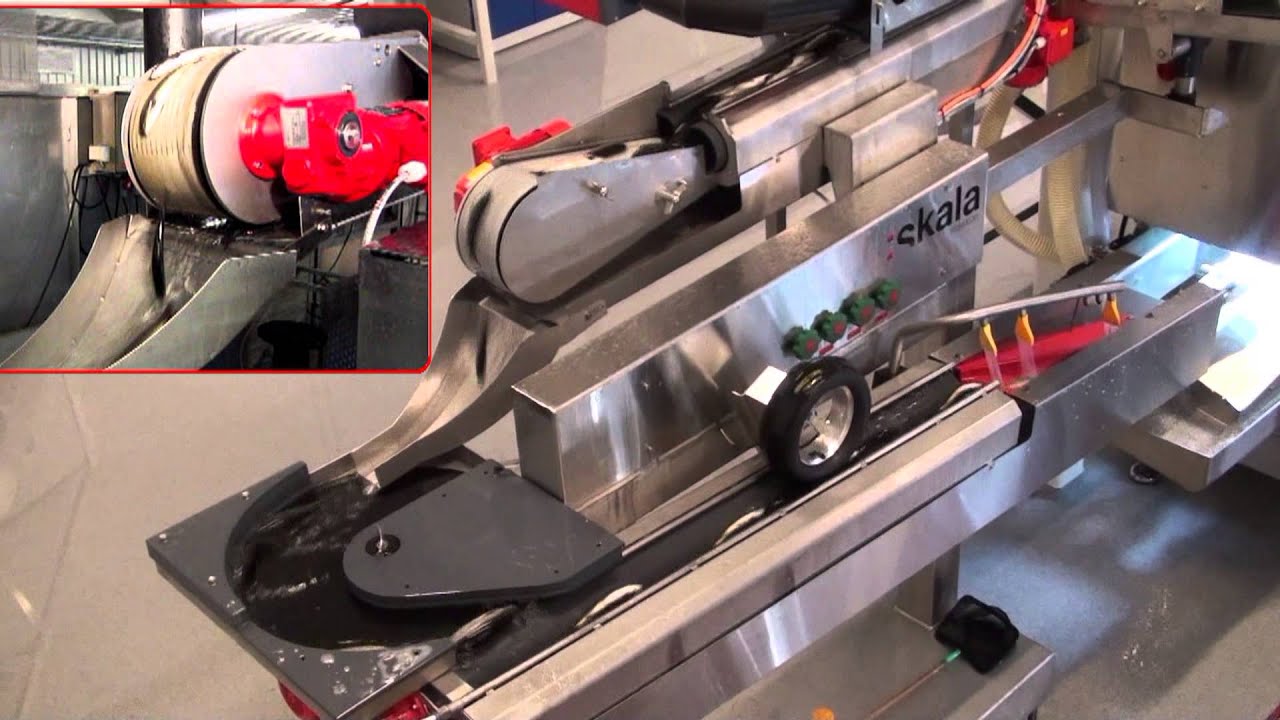 Maskon Vaccination machine for salmon