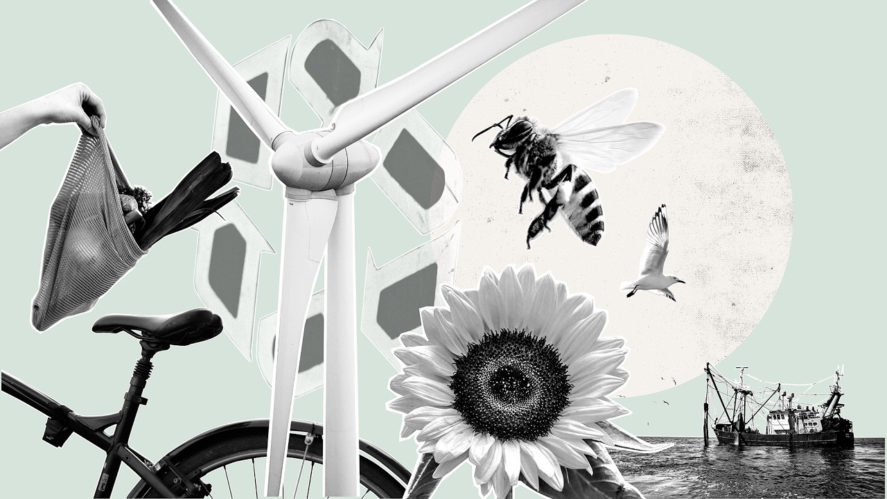 How could ‘Sustainability’ of Services be studied as a societal imperative?