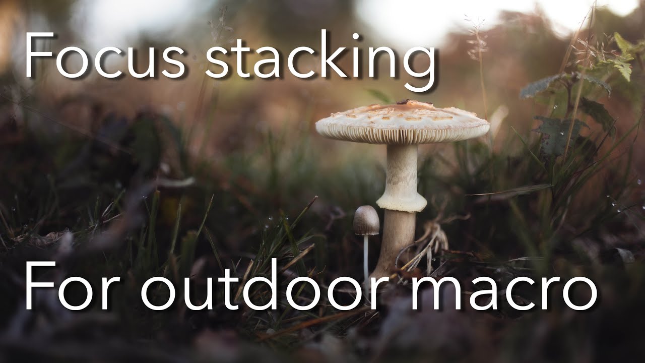 Macro focus stacking: Photoshop tutorial