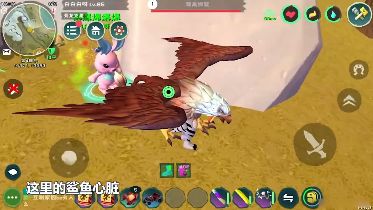 创造与魔法：首次捕捉人生中的第一只狮鹫！这次能出极品吗