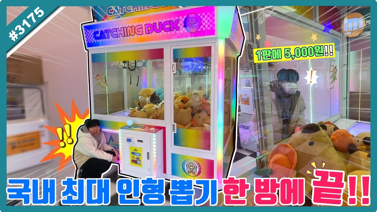 국내 최대 크기 인형 뽑기 '딱 한 방'에 털었습니다!! 집에 어떻게 가져가지.. (고니두욘몬 20260207) #3175