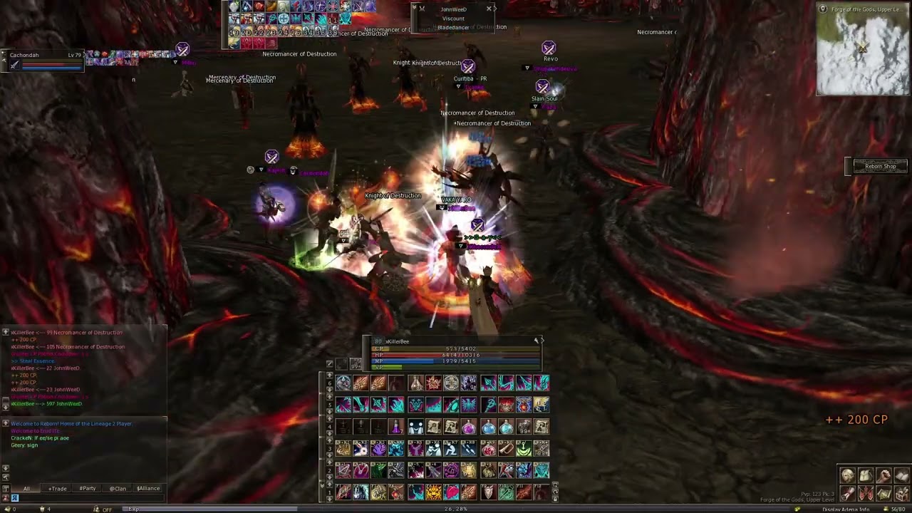 PvP 2vs8 server L2 REBORN x1