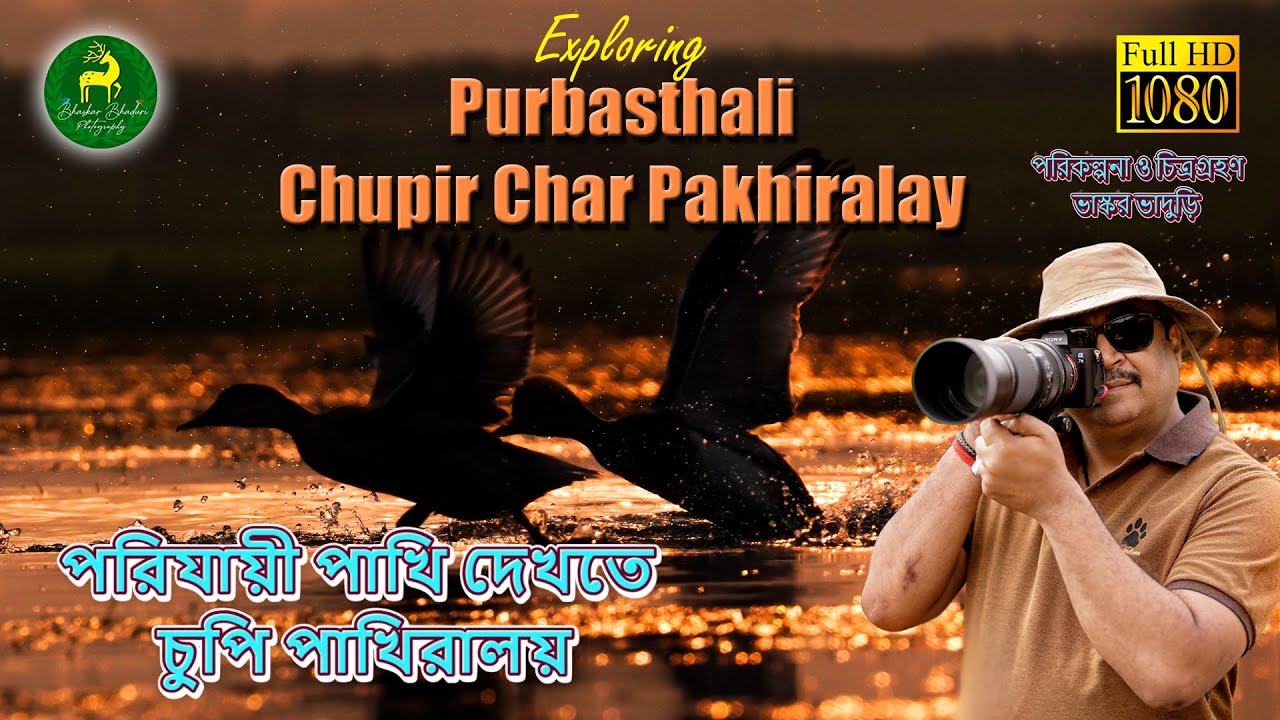 Exploring Migratory Birds of Chupi Pakhiralay | চুপি পাখিরালয় | চুপির চর পূর্বস্থলী 