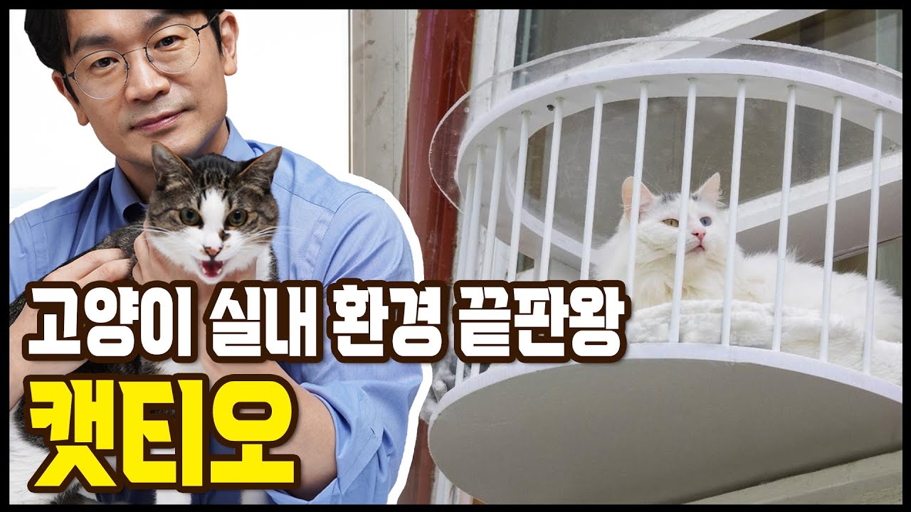고양이 테라스 캣티오를 알아보자.