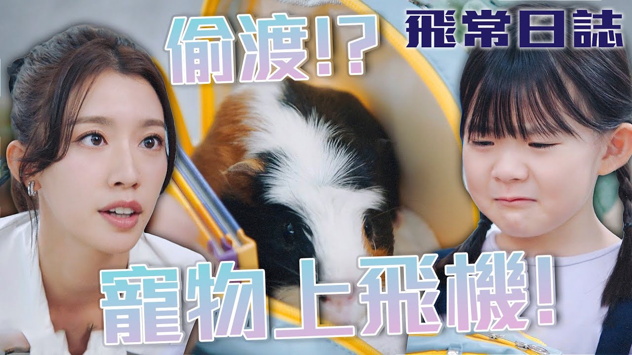 飛常日誌｜打算偷渡寵物上飛機？為了你我安全，要經過關關安全檢測才可以哦！｜馬國明｜蔡思貝｜高海寧｜洪永城｜朱敏瀚｜劉穎鏇｜2024港劇精華