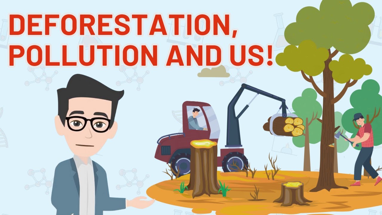 How do human activities affect the ecological balance?