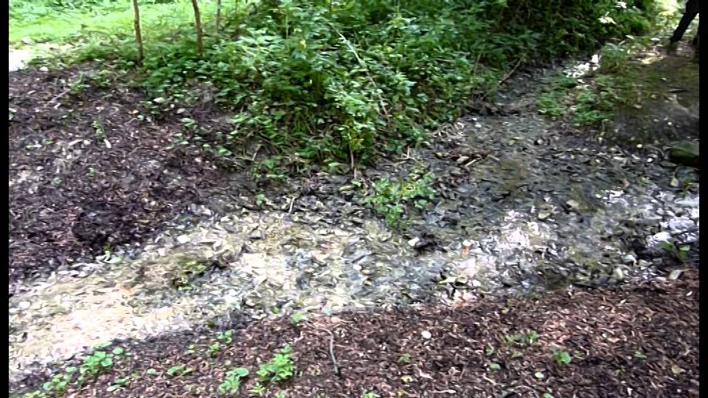 Falkensturz-Echo Cold Water Challenge 2014