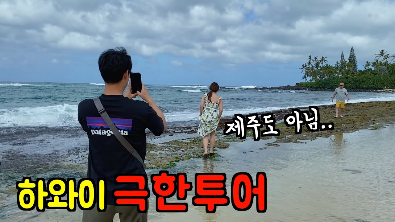 하와이 여행 🌴 근데 이제 코믹환장 극한투어...🔥 와이키키, 하와이 맛집, 하와이 쇼핑 l 하와이 여행 l 미국 브이로그