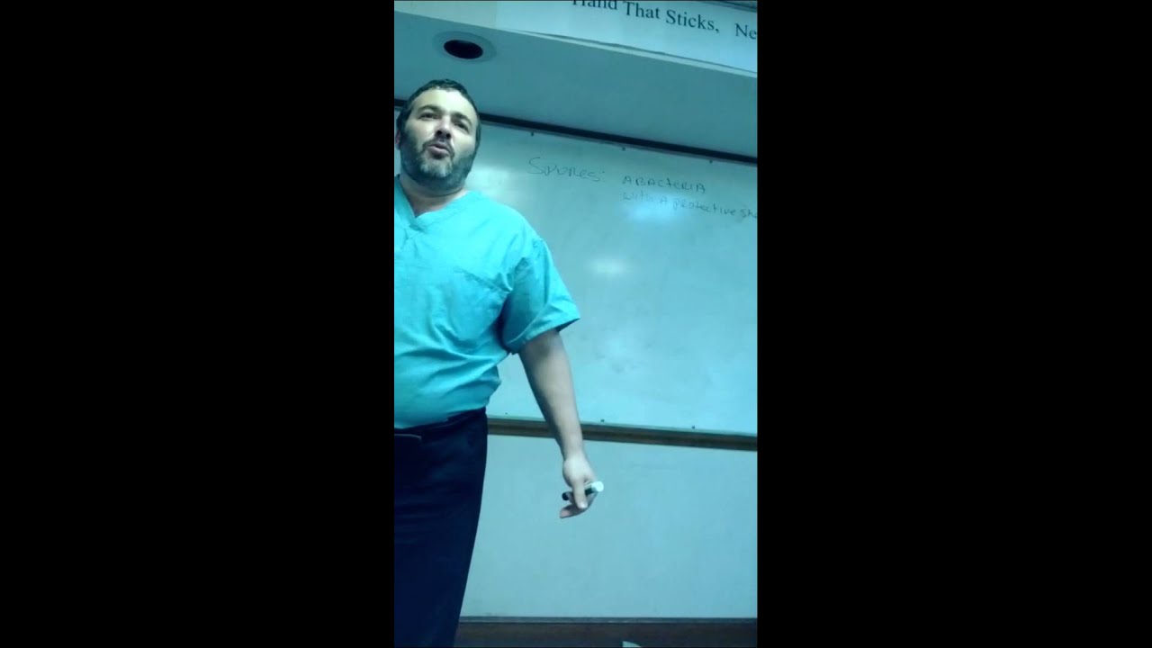 Микро-био 2.mp4