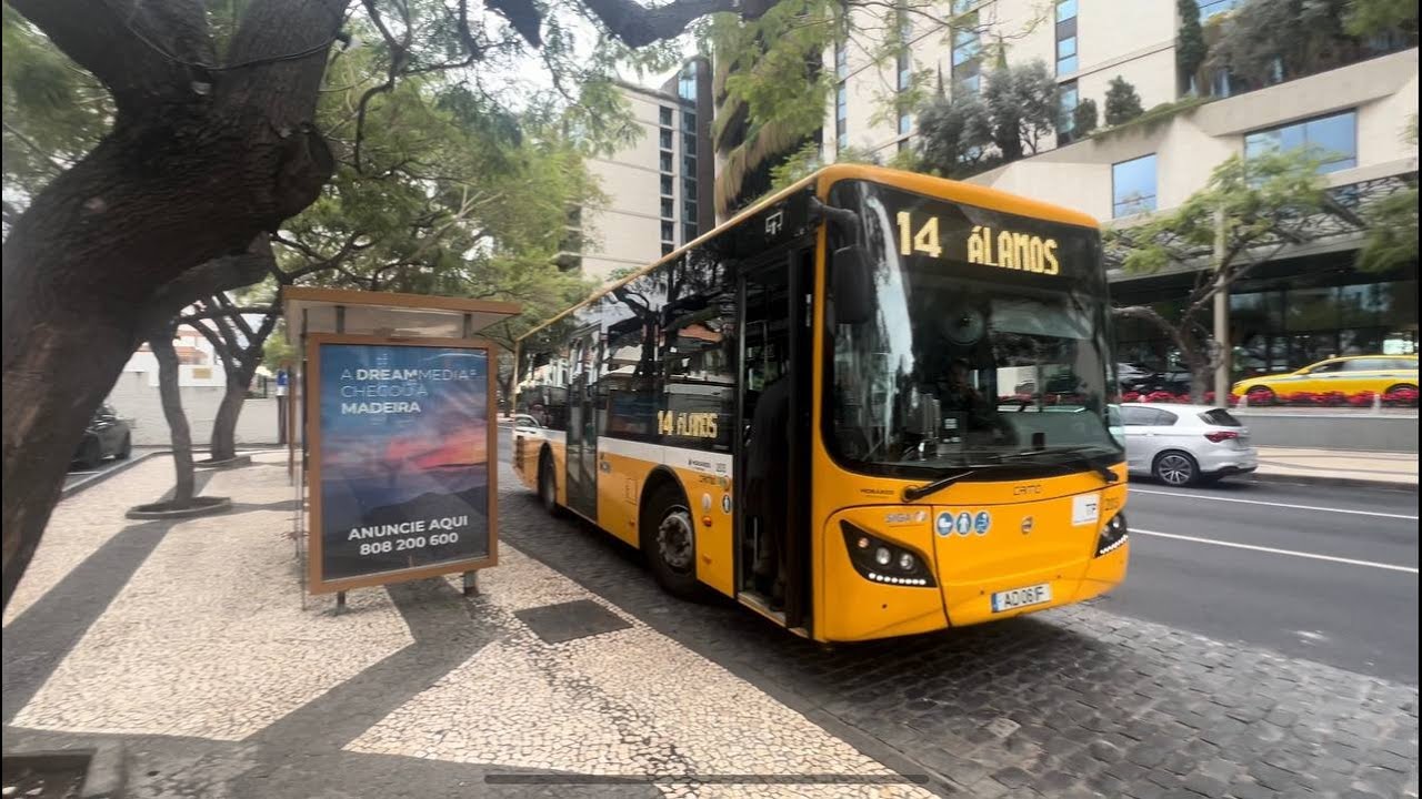 Portugal, Madeira, Funchal, Bus 14, ride from Palácio S Lorenço to Savoy Hotel