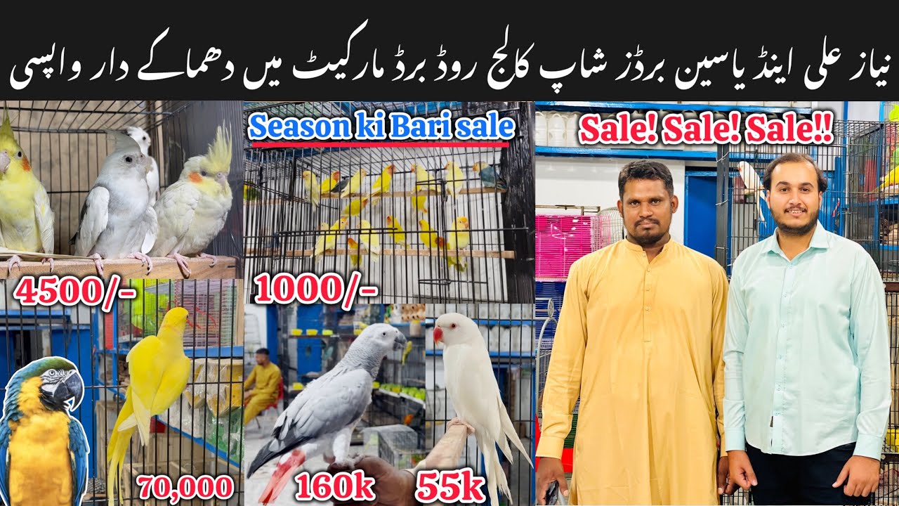 Yaseen bhai ki Entry ! New shop open kr le || Viewers k lia bhut bari offers. 