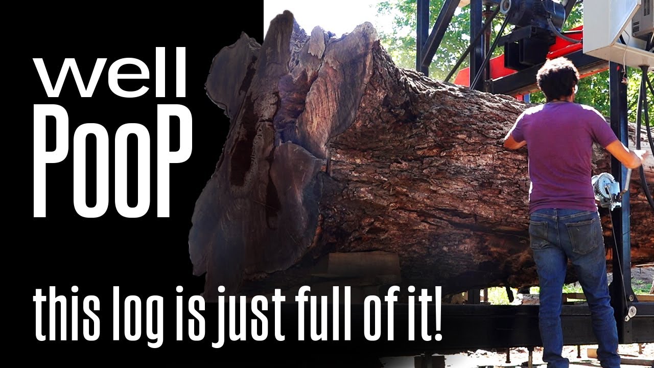 Sawing Matt Ruben's Massive & Historic Walnut Log