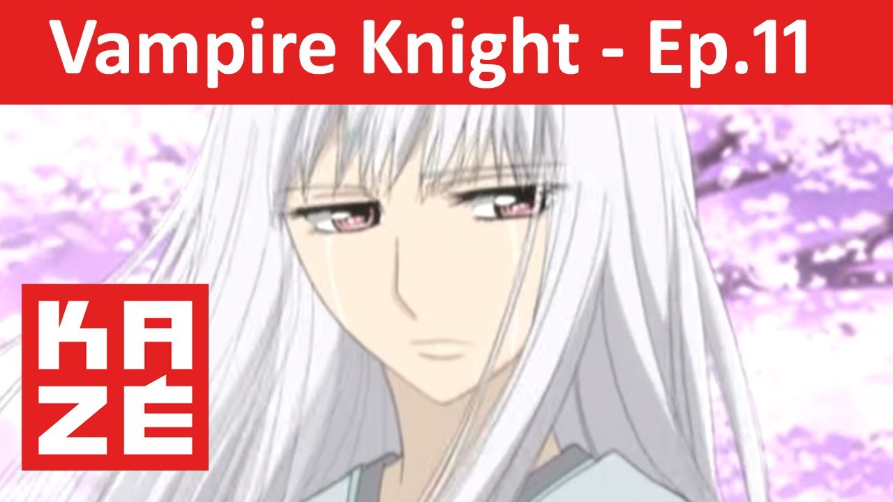 Vampire Knight - Episode 11