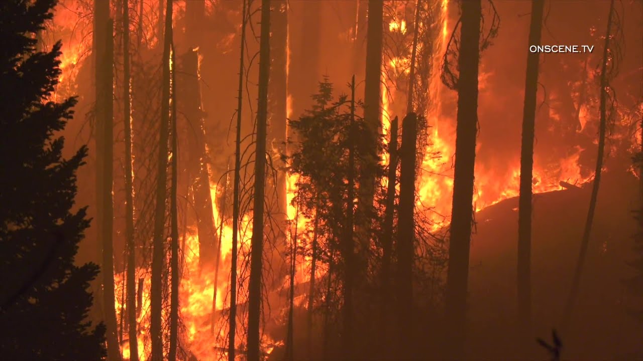 Creek Fire Burns Uncontrolled In The Huntington Lake Area
