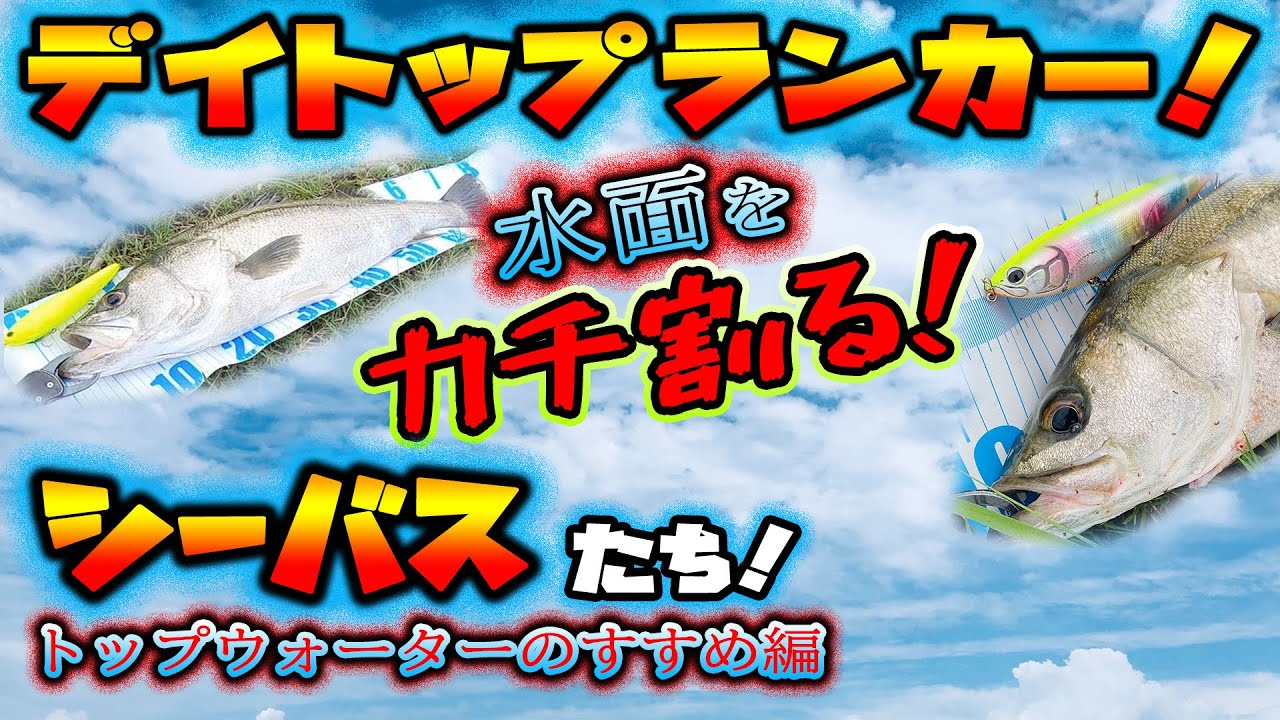 デイトップランカー！水面をカチ割るシーバスたち！ - トップウォーターのすすめ編 - アマゾンペンシル