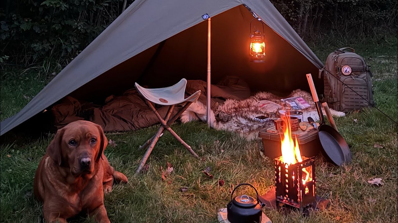#nordic Wolf #germany 🇩🇪 Ich mache einen #overnighter im Lavvu Zelt Loki. #outdoor #biwak #campfire 