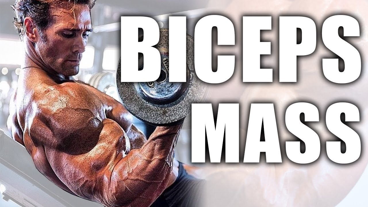 My Bicep Routine For Mass | Mike O'Hearn